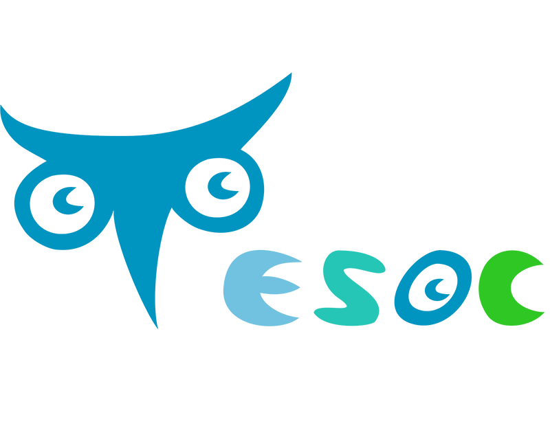 International program-Tesoc